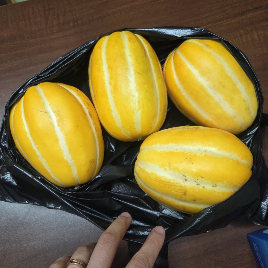 시장에서 보고 너무 싱싱하고 맛있어 보여서 가져왔다고 주신 참외입니다. 따뜻하신 마음 감사드립니다.