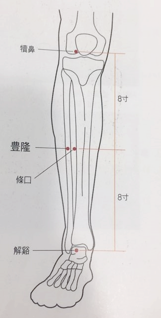 출처: 도해 임상취혈, 오수혈 , 책
