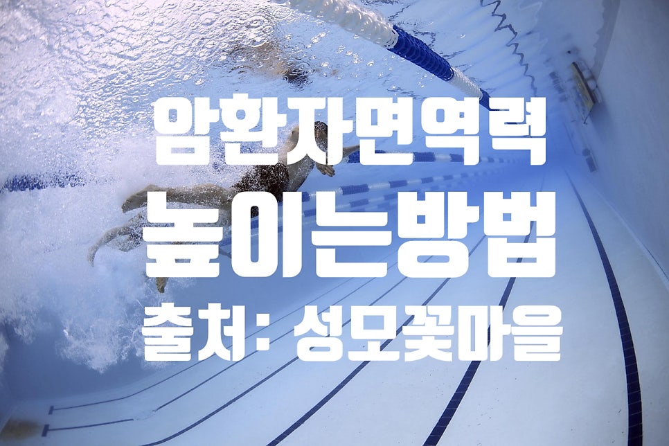 © 12019, 출처 Pixabay