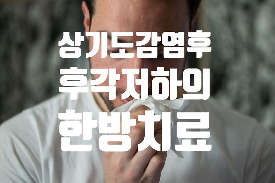 © candidbcolette, 출처 Unsplash