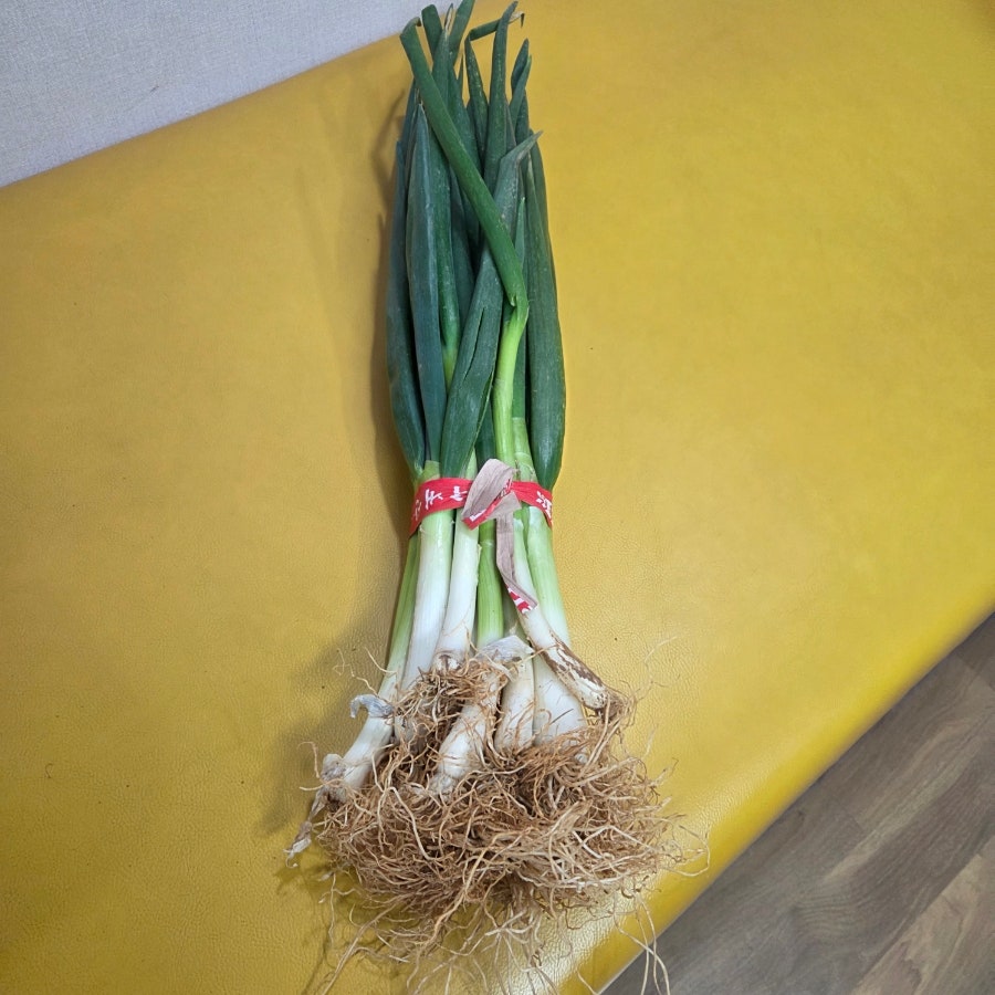 싱싱한 대파라서 꼭 드리고 싶어서 가져오셨다는 그 마음 너무 감사했습니다. 시골에서 친척분이 키워서 보낸거라 하셨습니다. 이런 큰사랑받으며 일할수있음에 감사합니다.