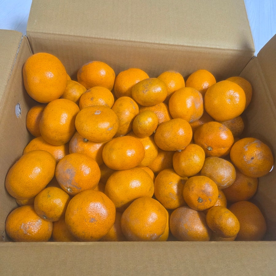 시골에서 정성껏 농사지으신 귤을 보 내주셨습니다. 사랑과 정성이 가득담긴 귤 맛있게 먹겠습니다.
