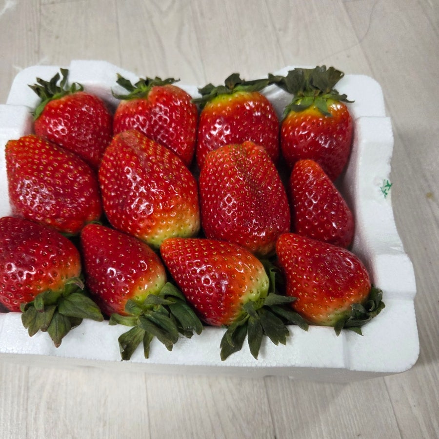 시장에서 예쁜 딸기를 봐서 사왔다고 하셨습니다. 정말 크고 탐스러운 딸기입니다. 덕분에 딸기파티했네요. 무거운 박스들 들고오느라 애쓰셨고 진심으로 감사드려요.