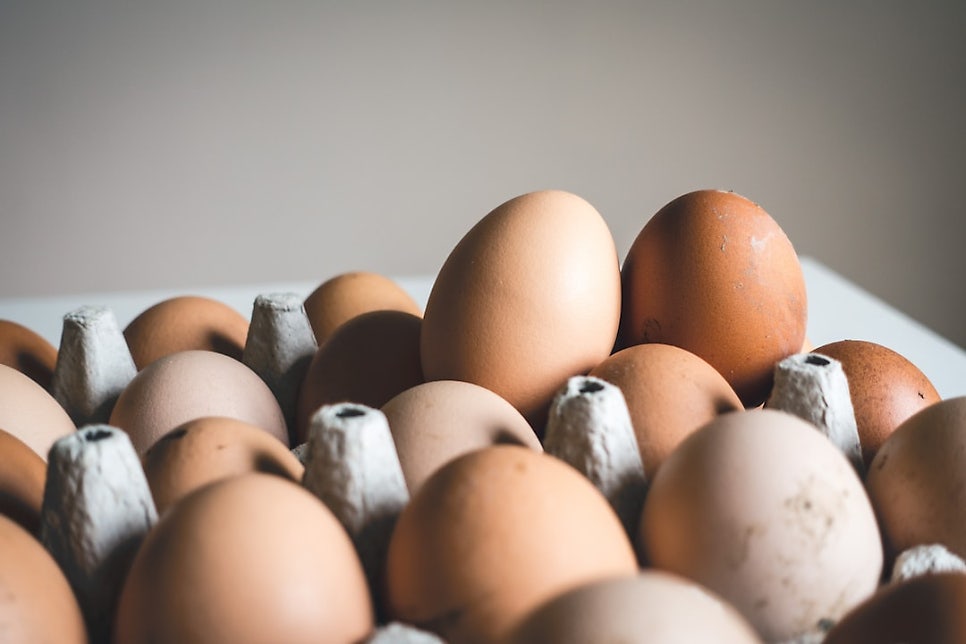 © foodiesfeed, 출처 Unsplash