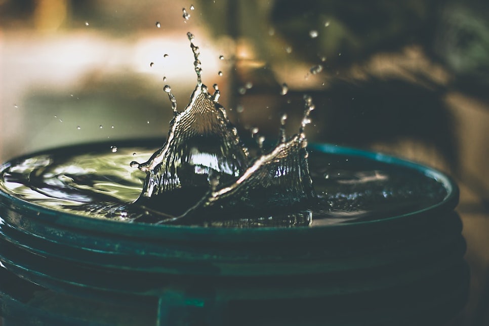 © da_sikka_x, 출처 Unsplash