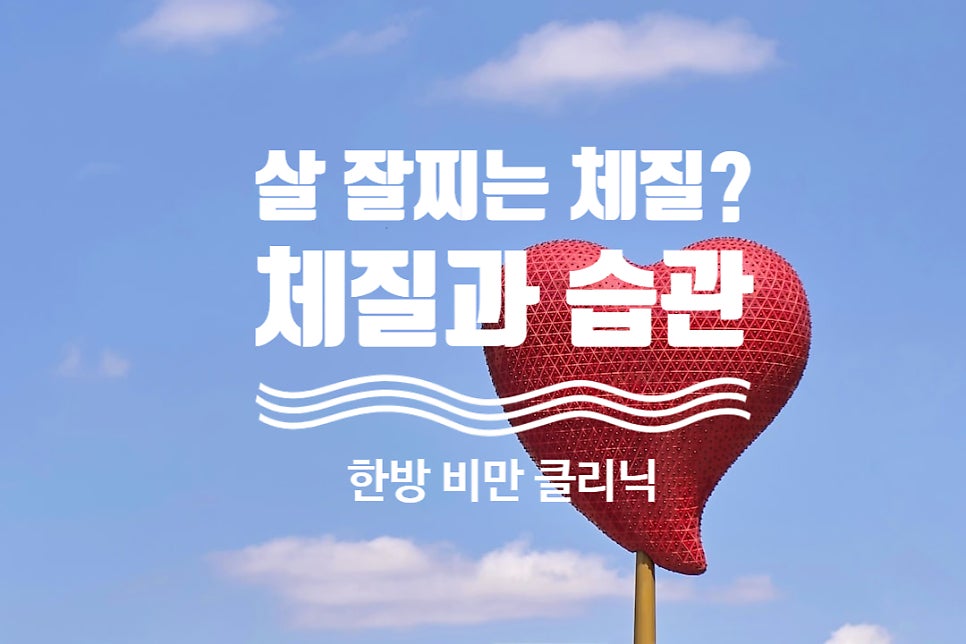 © jlxp, 출처 Unsplash