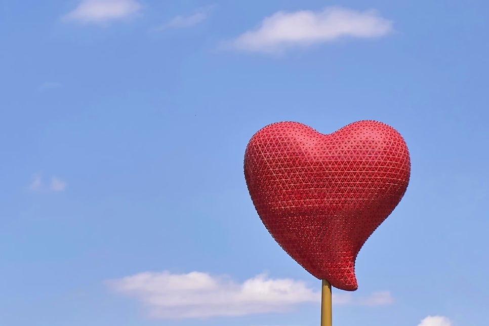 © jlxp, 출처 Unsplash