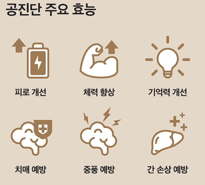 공진단의 효능