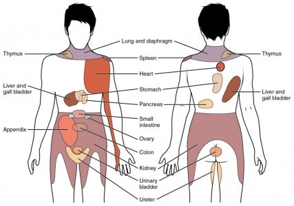 (출처 – Spinal masqueraders : Physiopedia)