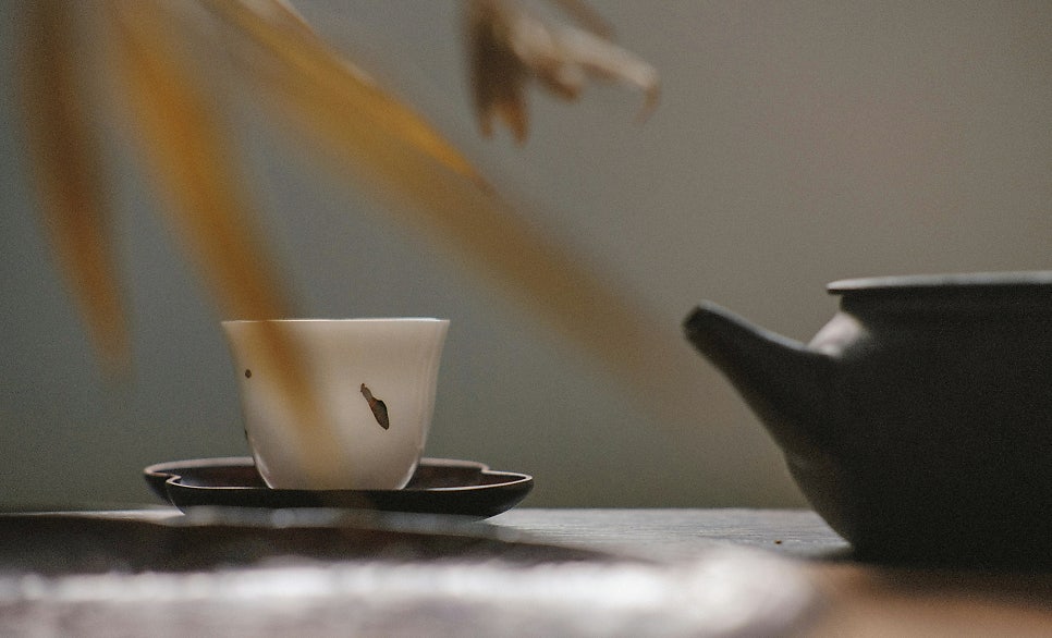 출처 unsplash