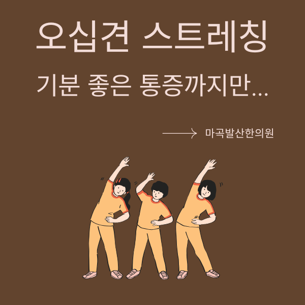 오십견 스트레칭