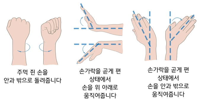 손목 회전, 좌우 기울이기 스트레칭