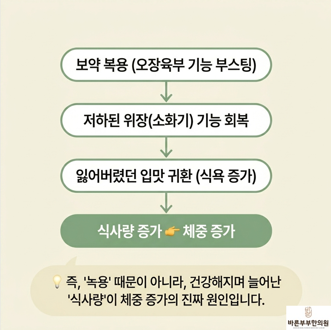 녹용의 효능