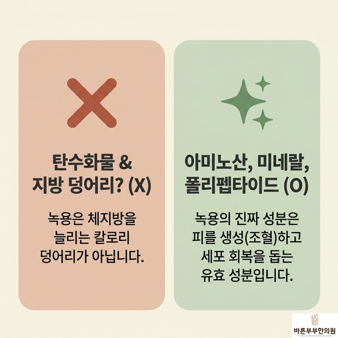 녹용 구성성분