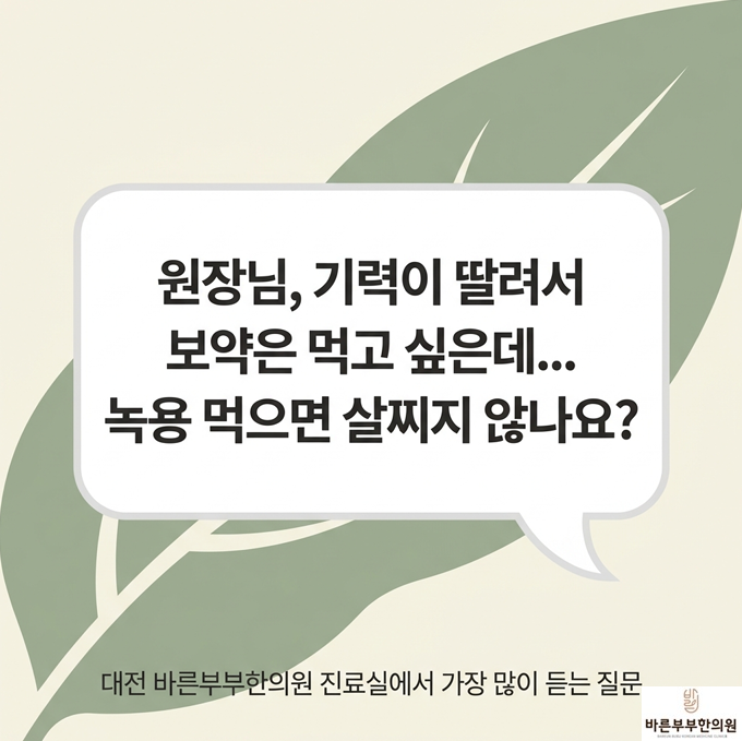 녹용, 살찌나요?