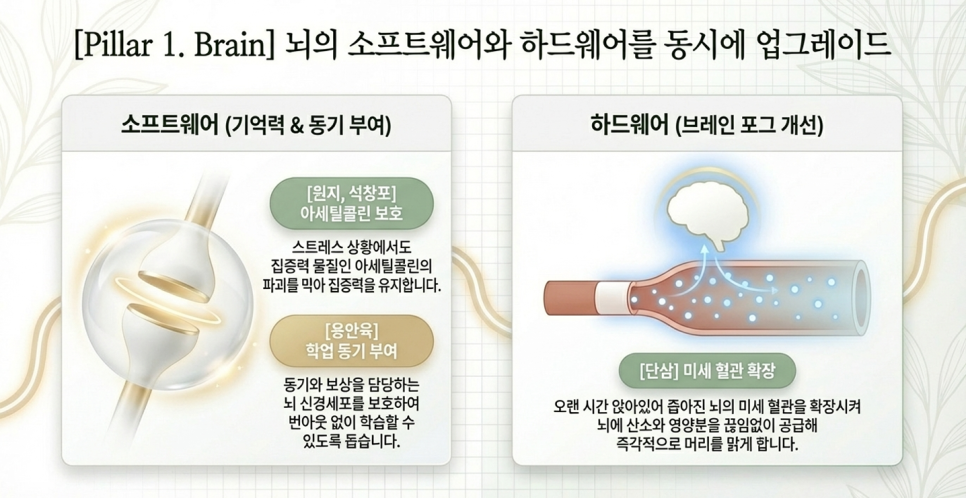 바른부부한의원 대전점 수험생 보약 <총명공진단> 학습능력향상