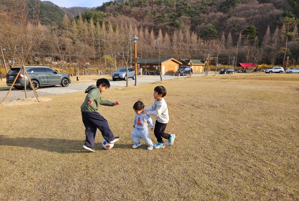 바른부부한의원 삼형제 비글 모드...