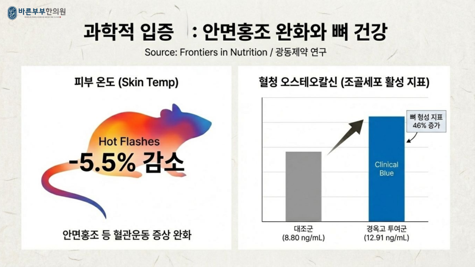 바른부부한의원 대전점 / 경옥고의 골밀도 개선 효과