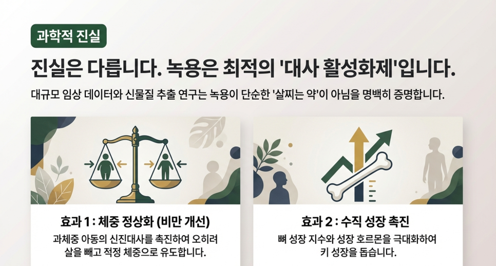 바른부부한의원 대전점 녹용의 대사활성효과