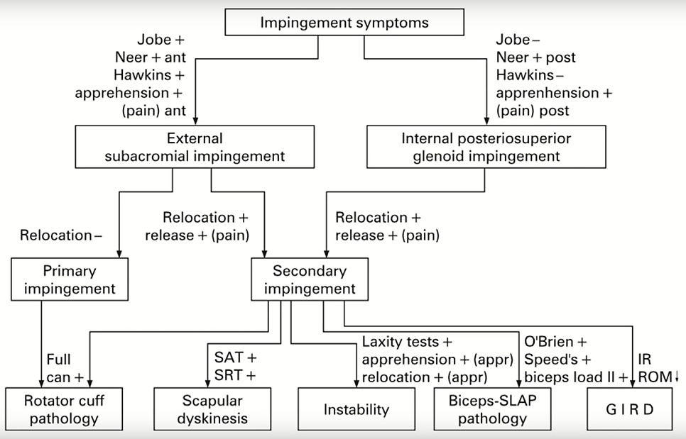 참고: GIRD는 어깨 내회전 결손 Glenohumeral Internal Rotation Deficit 의 줄임말입니다.