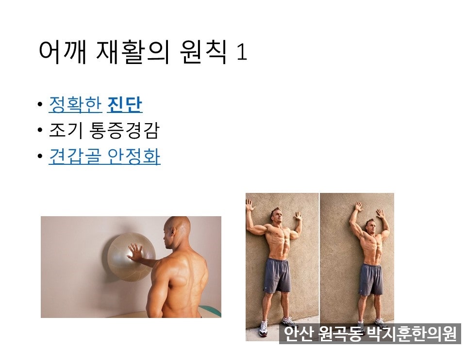 좌우 모두 견갑골 안정화 운동에 해당합니다. 어깨 문제가 있을 때 견갑골 안정부터 생각하는 겁니다. 견갑골을 제 위치에 있는 능력을 회복시키지 않고서는 어깨는 회복되지 않아요. 푸쉬업하는데 어깨뼈 튀어나온 높이가 다르다... 어깨만 침맞고 물리치료 해서는 안낫는다는 얘기입니다.