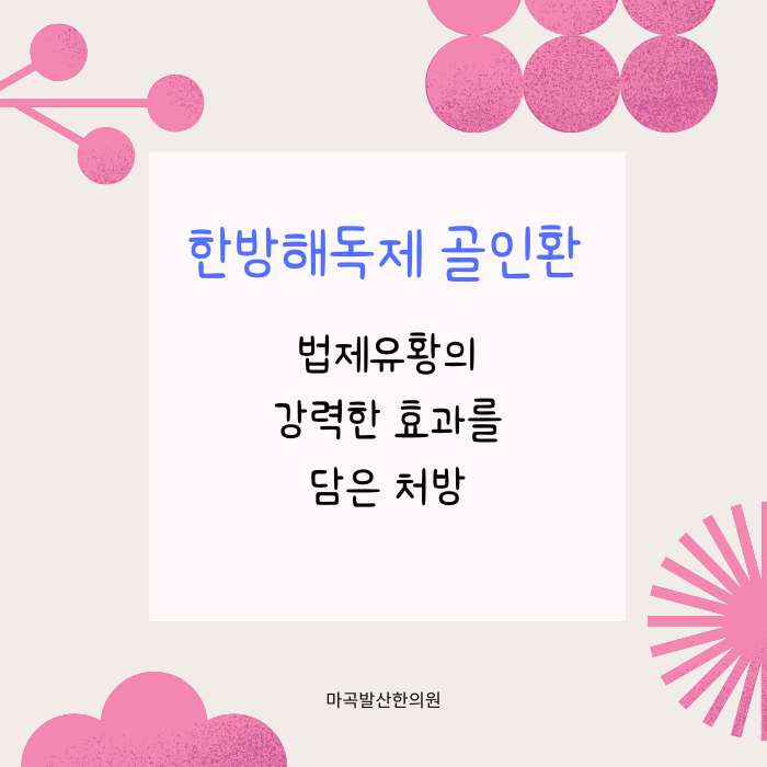 한방해독제 골인환