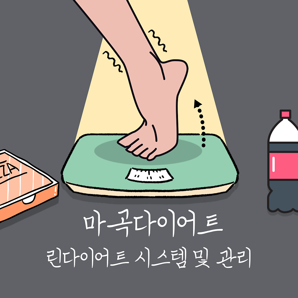 린다이어트
