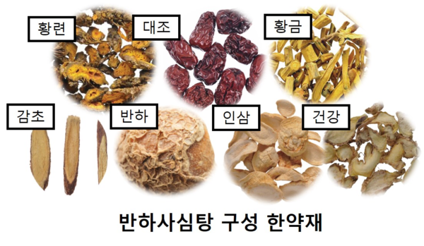 출처 - 민족의학신문