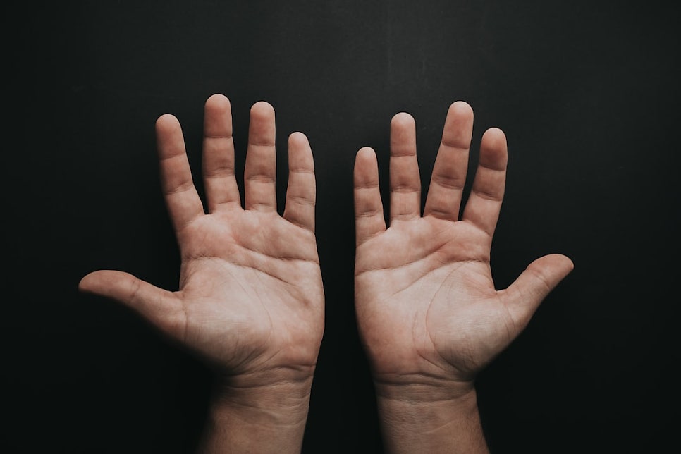 © jibarox, 출처 Unsplash