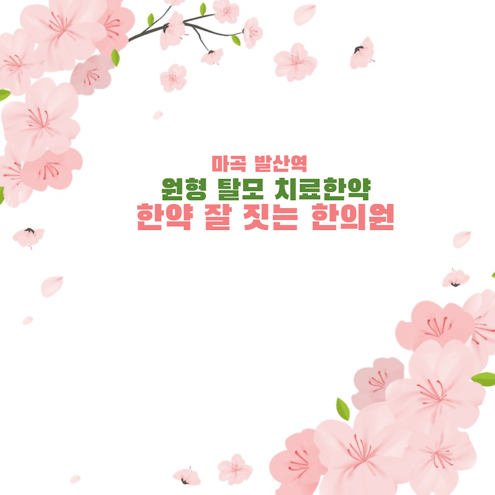 원형탈모