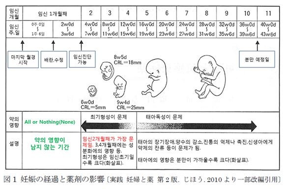 출처 https://blog.naver.com/vitacheck/221390540747