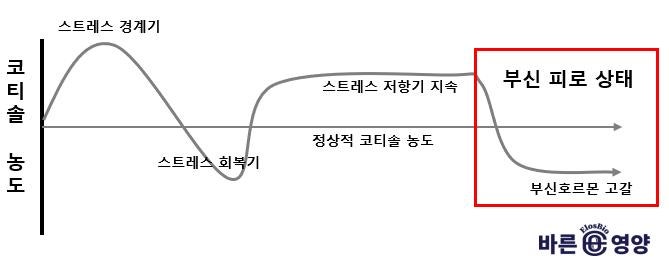 출처: https://bareunnutri.com/health_info/31476