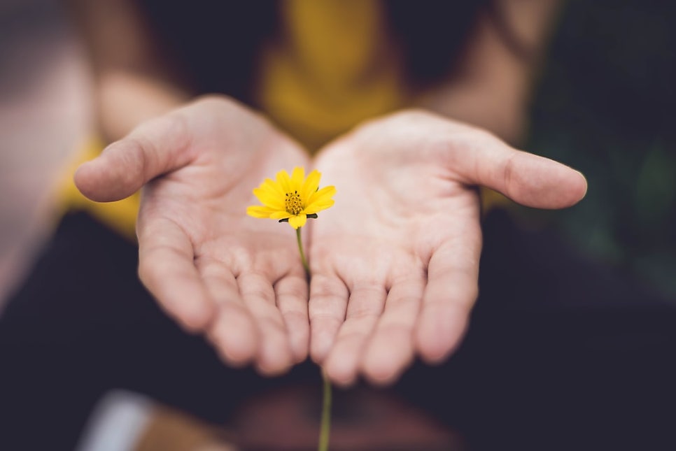 © lmtrochezz, 출처 Unsplash