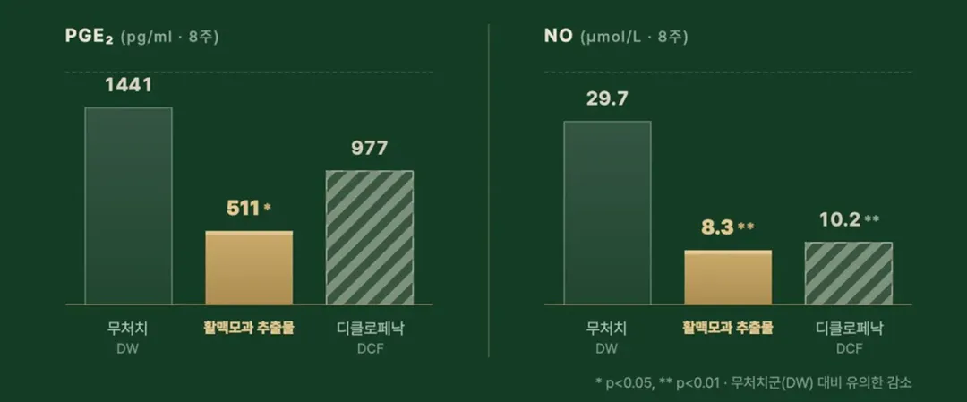 염증물질감소.webp