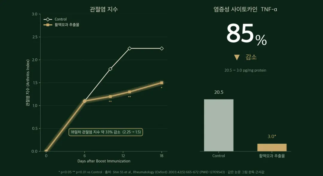 염증성사이토카인감소.webp