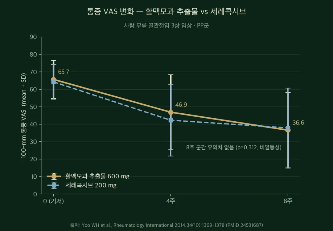통증vas.webp