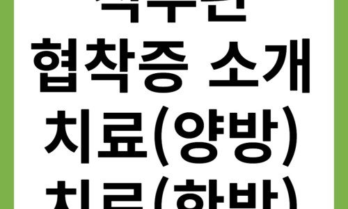Pasted image