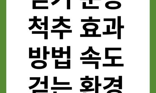 Pasted image