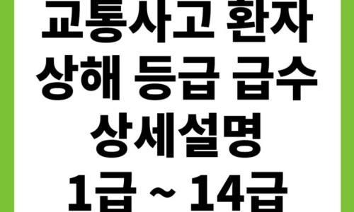 Pasted image