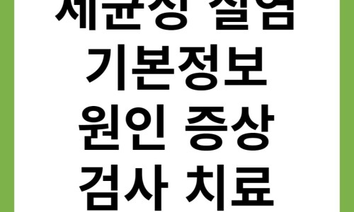 Pasted image
