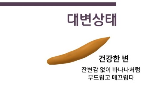 Pasted image