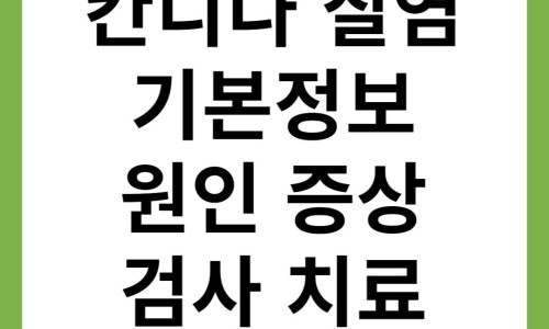 Pasted image