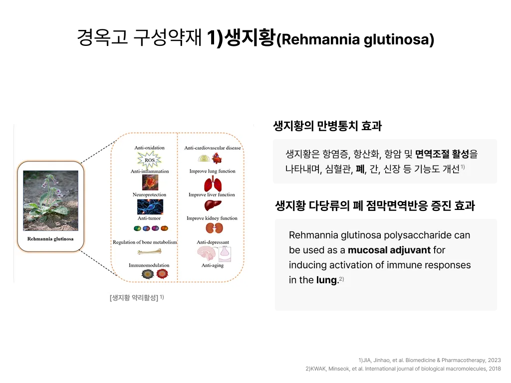 Pasted image