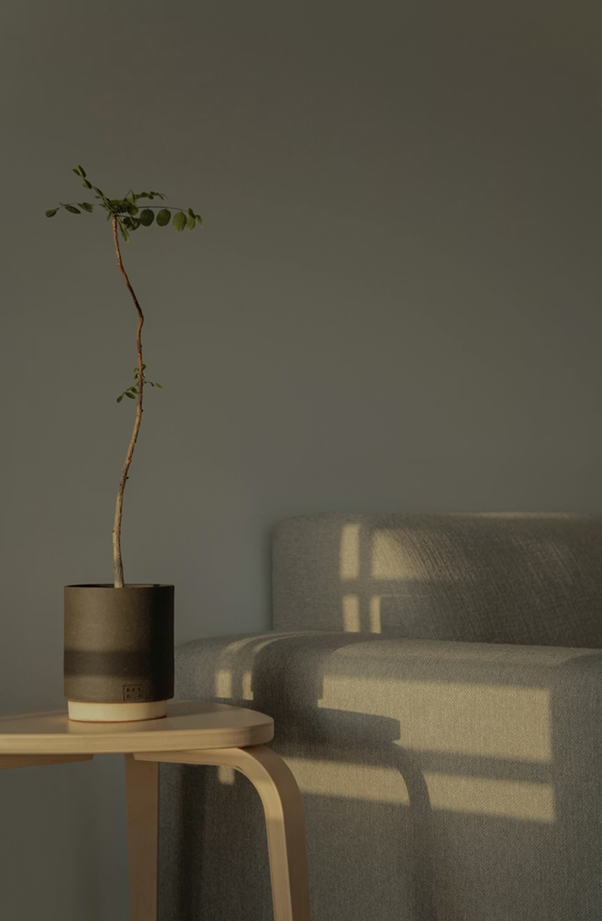 원활한 진료를 위한 예약 취소 및 변경 안내