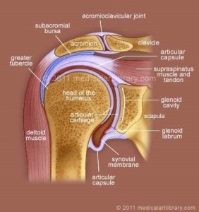 Pasted image