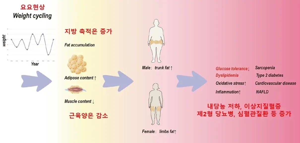 Pasted image