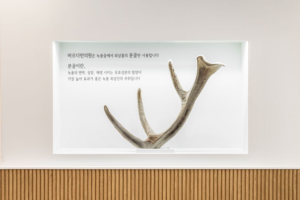 최상급 녹용으로 근본부터 채웁니다.