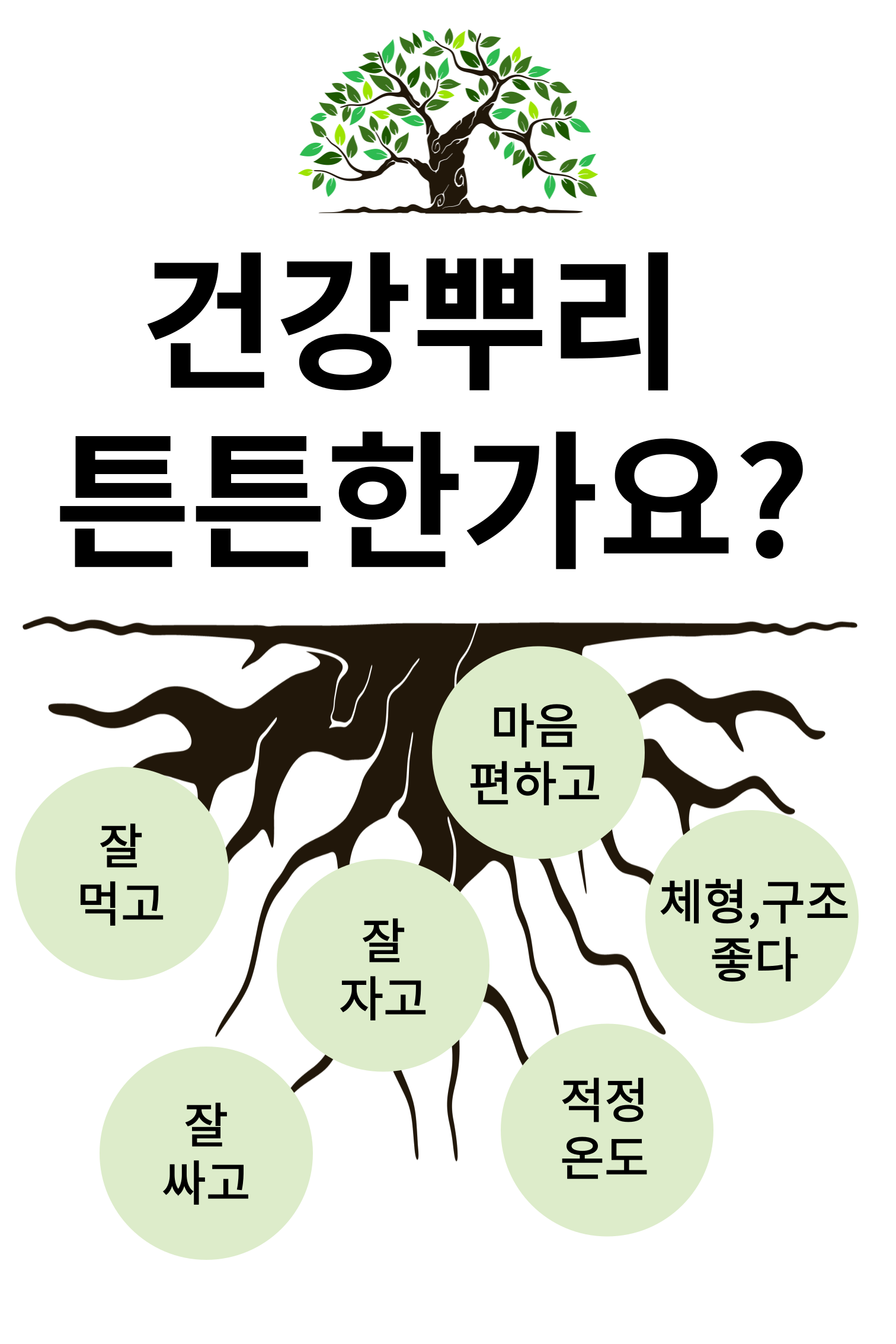 건강 뿌리가 건강해야 합니다.