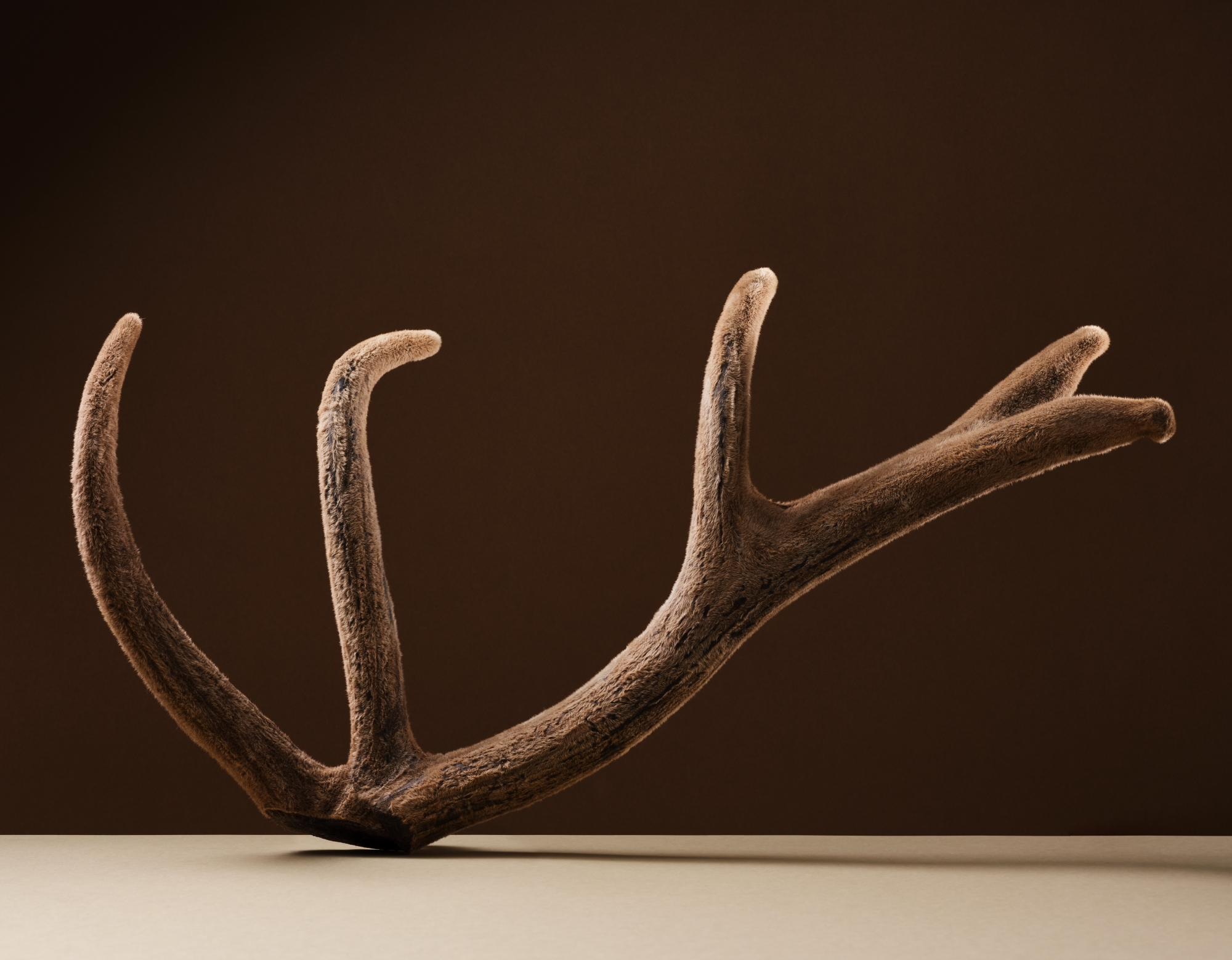 녹용 부위 중 으뜸인 
'분골' 만 사용하여 처방합니다