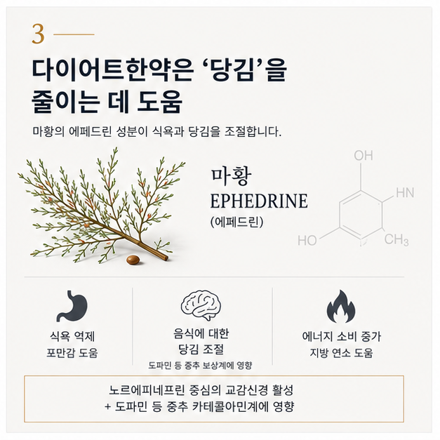 04_ephedrine_appetite_reward.png